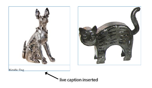 6 - How to Set up Live Captioning in InDesign CS5 6 - How to Set up Live Captioning in InDesign CS5